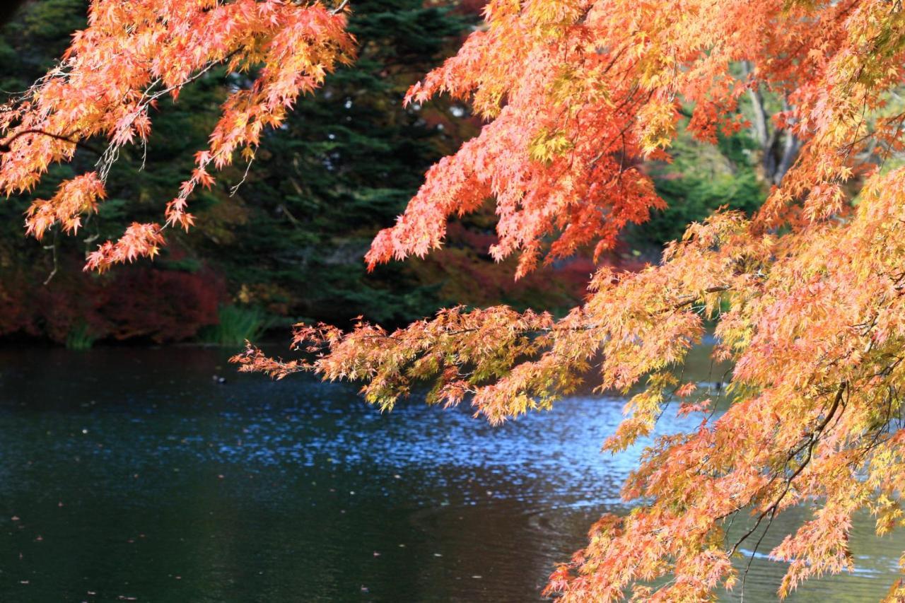 Twin-Line Hotel Karuizawa Japan Zewnętrze zdjęcie