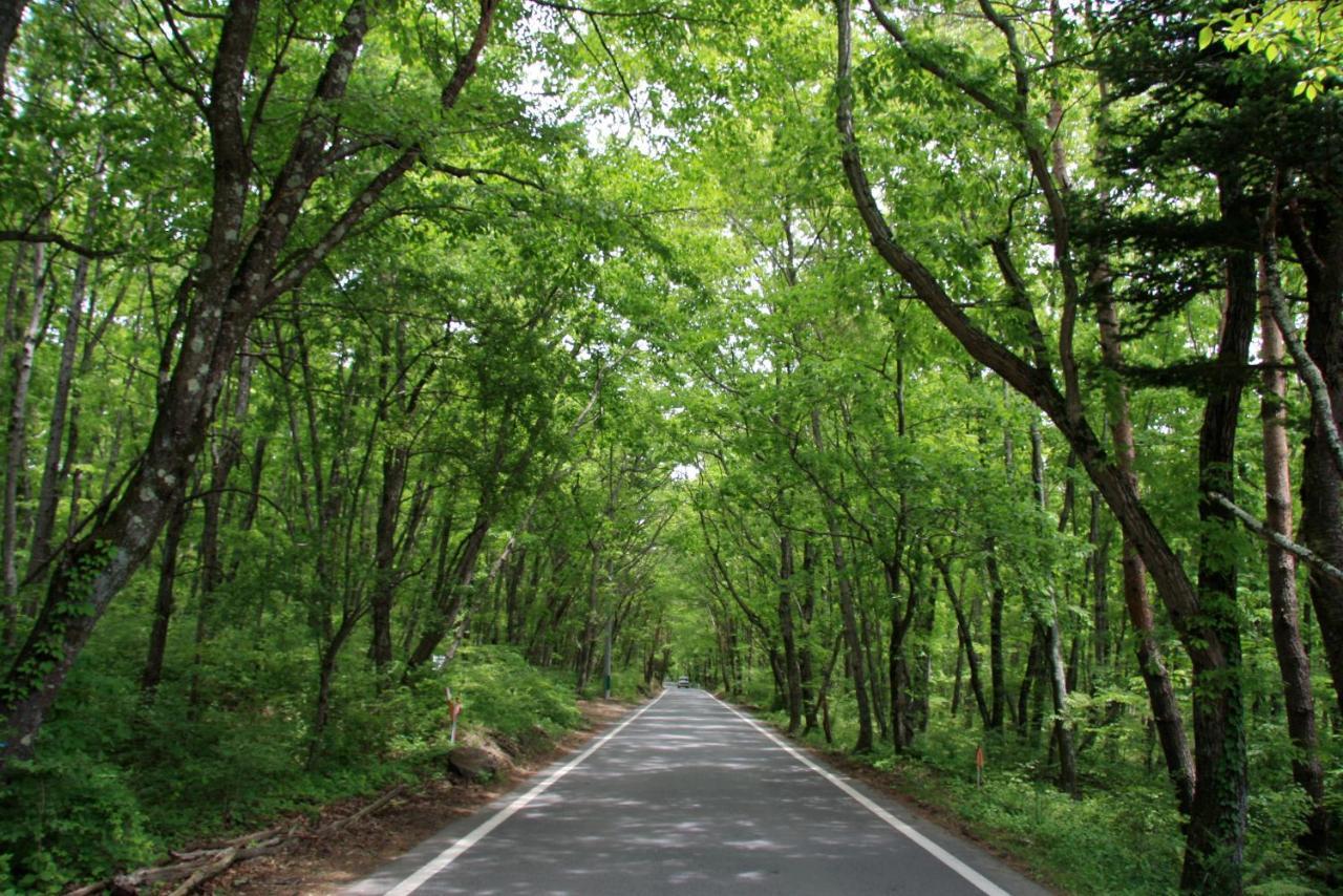 Twin-Line Hotel Karuizawa Japan Zewnętrze zdjęcie